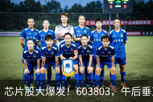 芯片股大爆发！603803，午后垂直涨停！